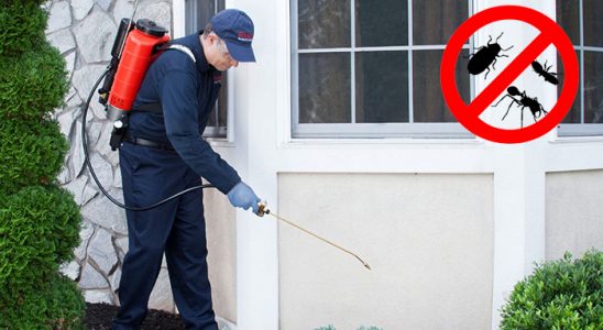 Pervari Gümüşkurt İlaçlama böcek ilaçlama ve haşere kontrolü — ilaclama-tr.com